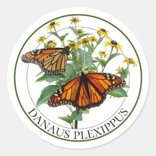 Monarch Butterflies and Black Eyed Susan Rudbeckia Classic Round Sticker
