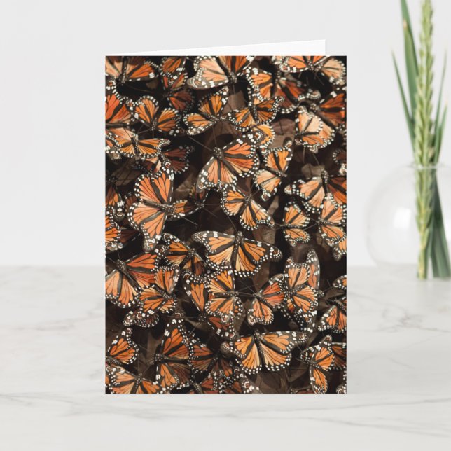 Monarch Butterflies Card (Front)