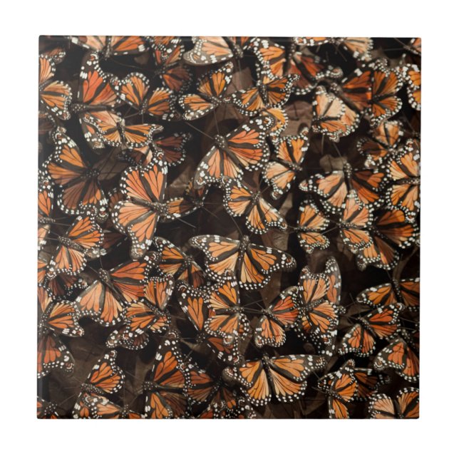 Monarch Butterflies Ceramic Tile (Front)