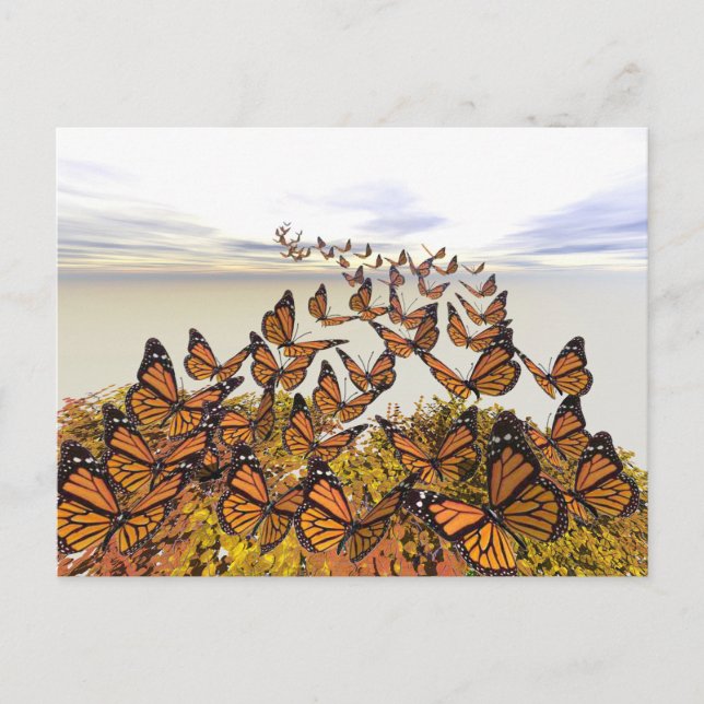Monarch Butterflies Gather Postcard (Front)