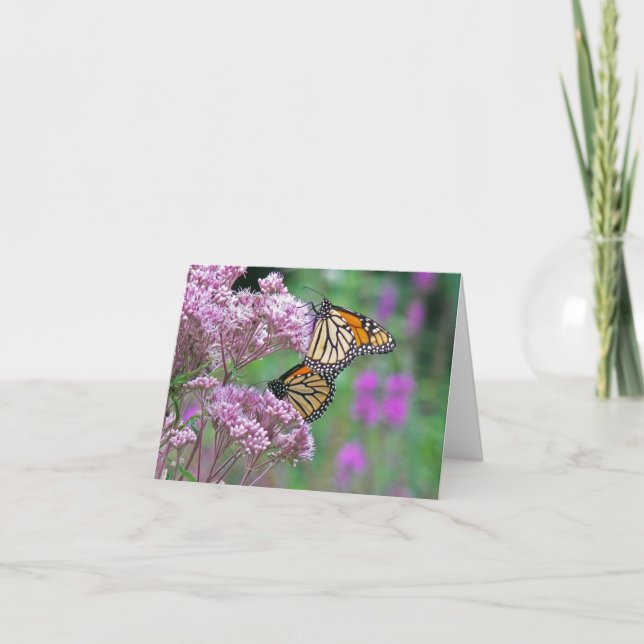 Monarch Butterflies Note Card (Front)