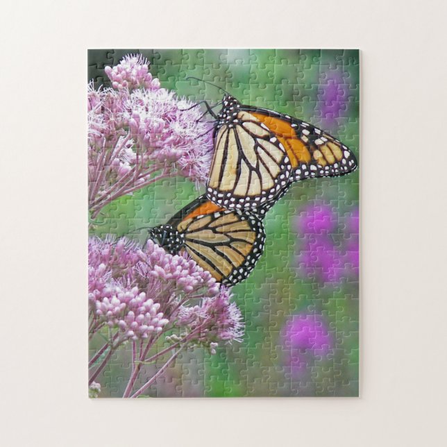 Monarch butterflies on milkweed jigsaw puzzle (Vertical)