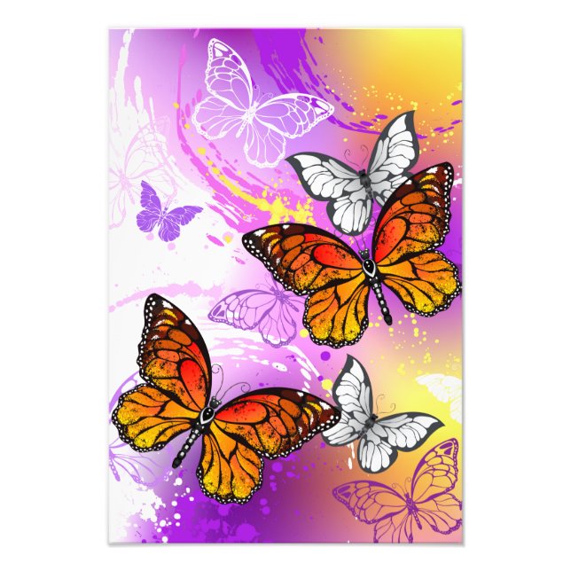 Monarch Butterflies on Purple Background Photo Print (Front)