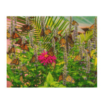 Monarch Butterflies Wood Wall Art 14 x 11