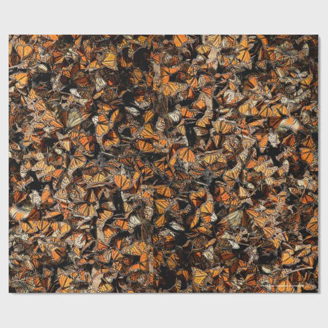 Monarch butterflies, wrapping paper (Flat)
