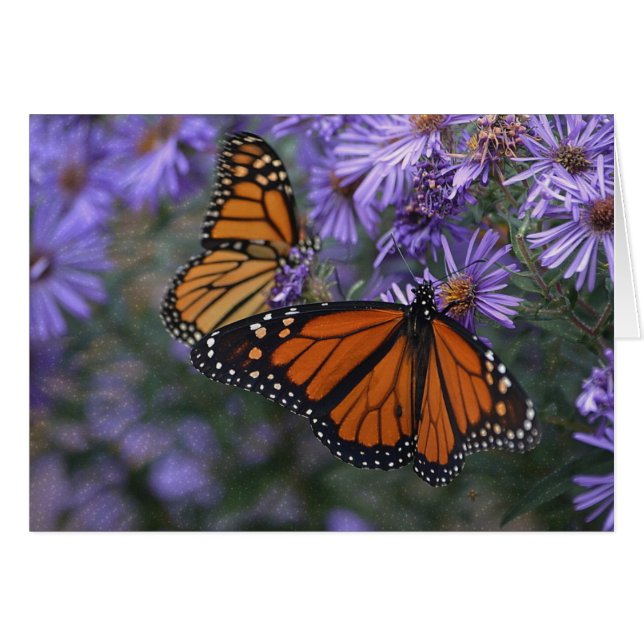 Monarch Butterfly (Front Horizontal)