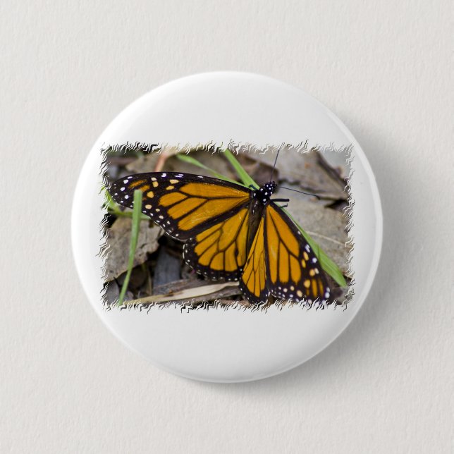 Monarch Butterfly 6 Cm Round Badge (Front)