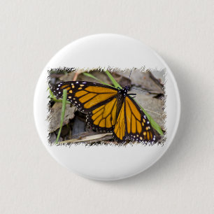 Monarch Butterfly 6 Cm Round Badge