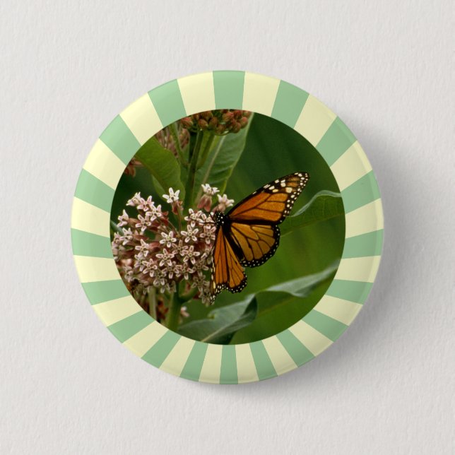 Monarch Butterfly 6 Cm Round Badge (Front)