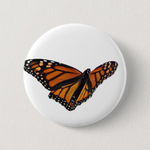 Monarch butterfly 6 cm round badge