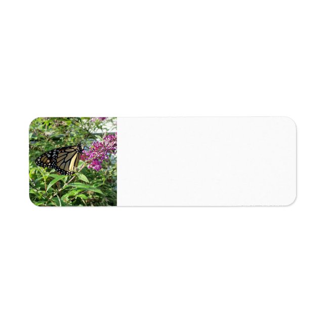 Monarch Butterfly address labels (Front)