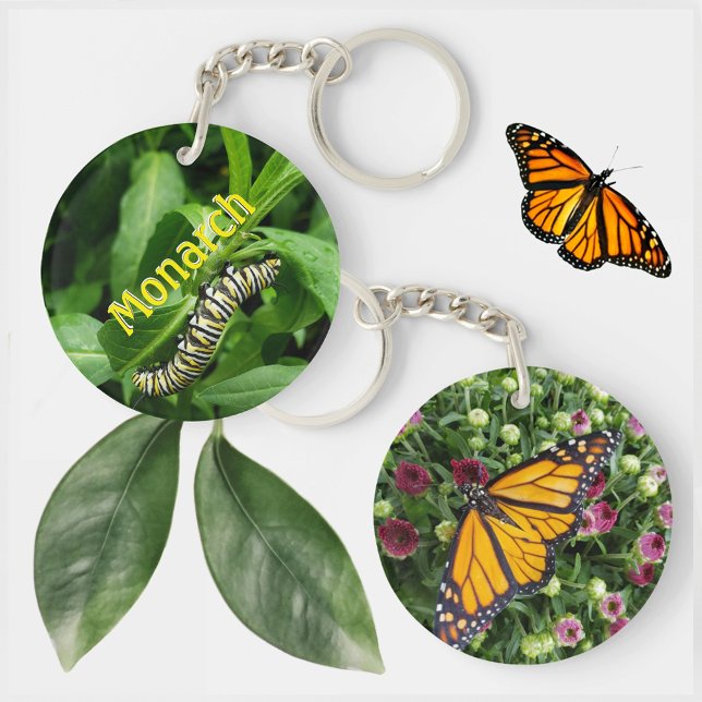 Monarch Butterfly and Caterpillar Photographic Key Ring (Creator Uploaded)