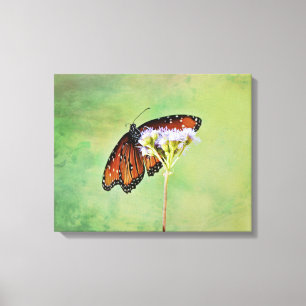 Monarch Butterfly and Flowers Canvas Art Print