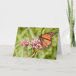 Monarch Butterfly and Friend Card