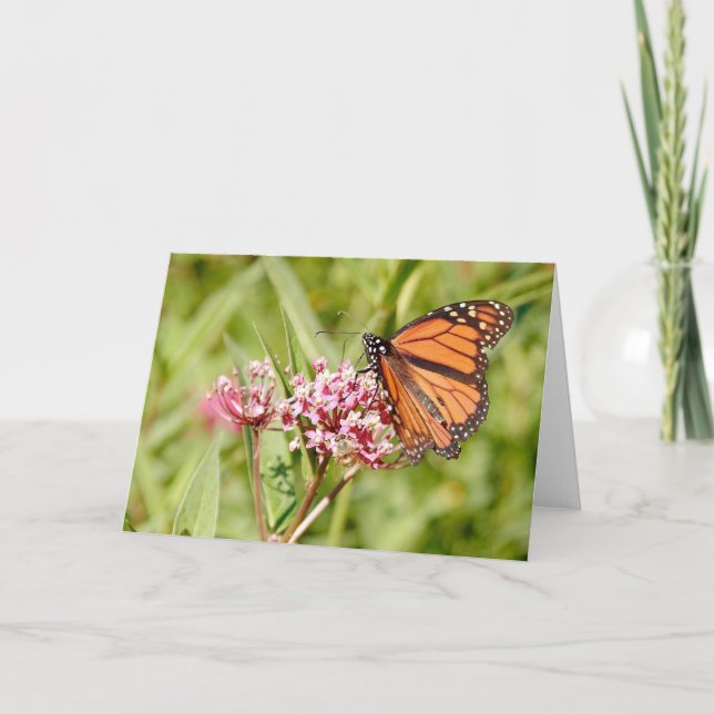 Monarch Butterfly and Friend Card (Front)