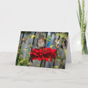 Monarch Butterfly and Praying Mantis on Red Zinnia Card