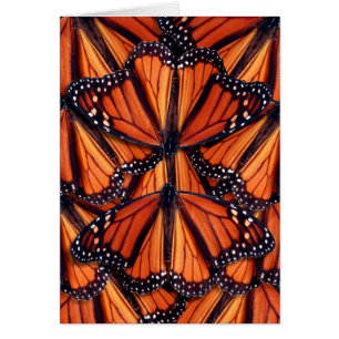 monarch butterfly art
