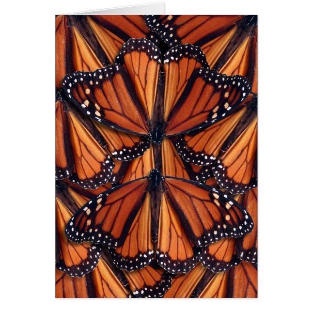 monarch butterfly art (Front)