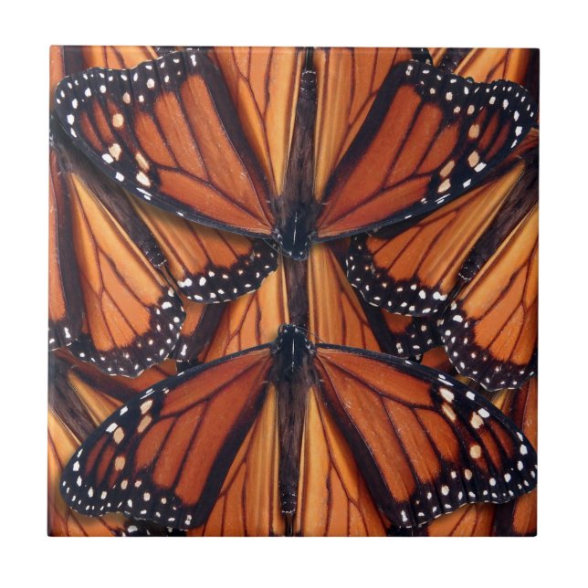 monarch butterfly art ceramic tile (Front)