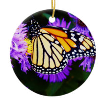 Monarch Butterfly, Aster Ornament
