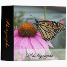 Monarch Butterfly