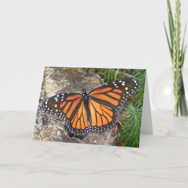 Monarch  Butterfly Birthday Card (Front)