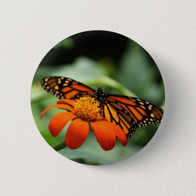 Monarch Butterfly Button (Front)