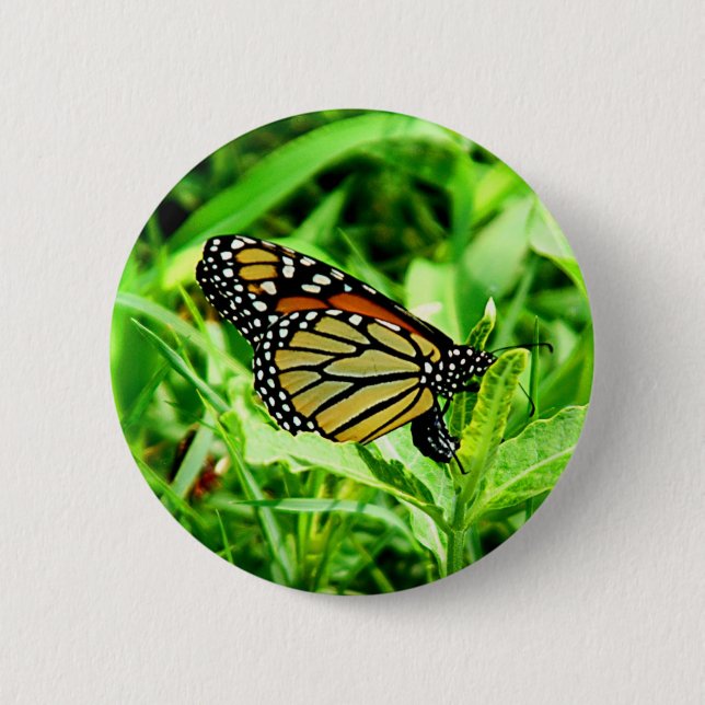 Monarch Butterfly Button (Front)