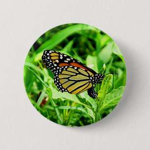 Monarch Butterfly Button