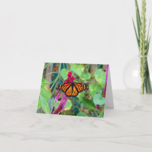 Monarch Butterfly Card