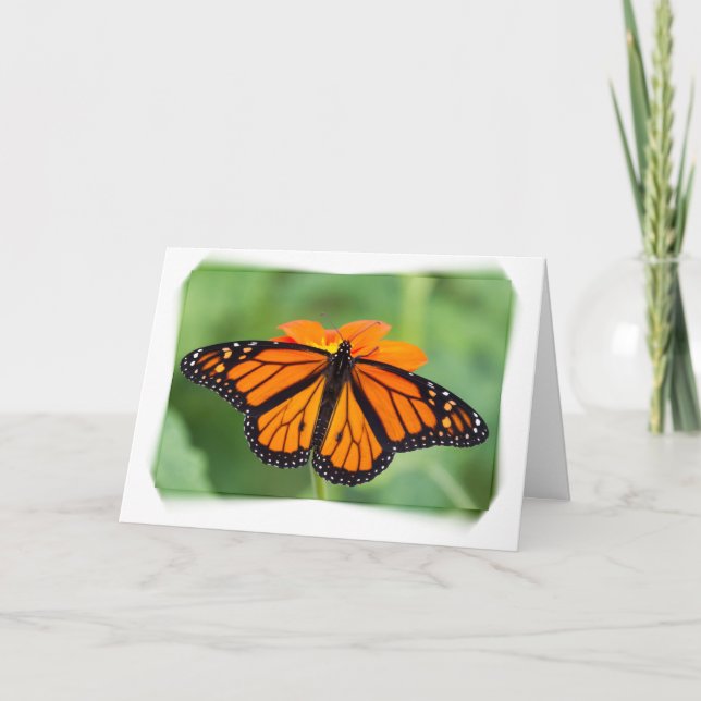 Monarch Butterfly Card (Front)