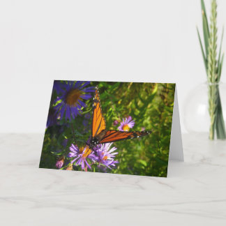 Monarch Butterfly Card