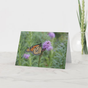 Monarch Butterfly Card