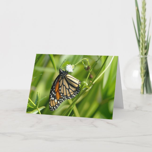 Monarch Butterfly - card  (Front)