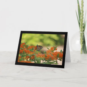Monarch butterfly card