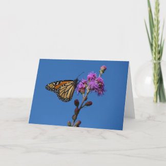 Monarch butterfly card