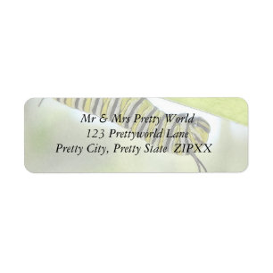Monarch Butterfly Caterpillar Exploring A Milkweed Return Address Label