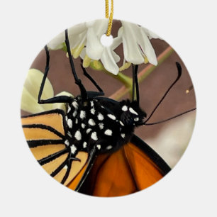 Monarch Butterfly Ceramic Ornament