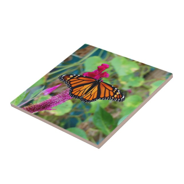 Monarch Butterfly Ceramic Tile (Side)