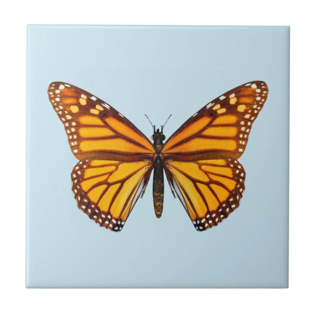 Monarch Butterfly Ceramic Tile (Front)