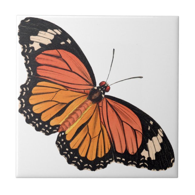 Monarch Butterfly Ceramic Tile (Front)