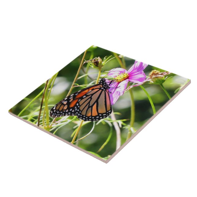Monarch Butterfly Ceramic Tile (Side)
