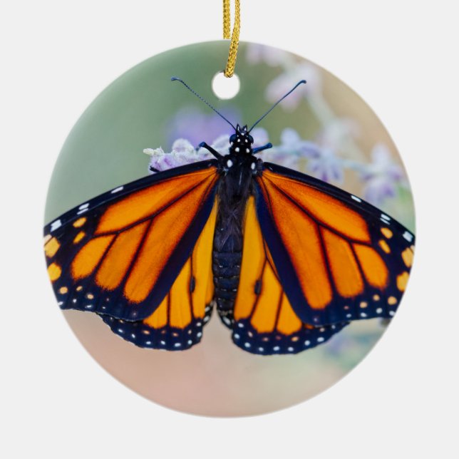 Monarch Butterfly Ceramic Tree Decoration (Front)