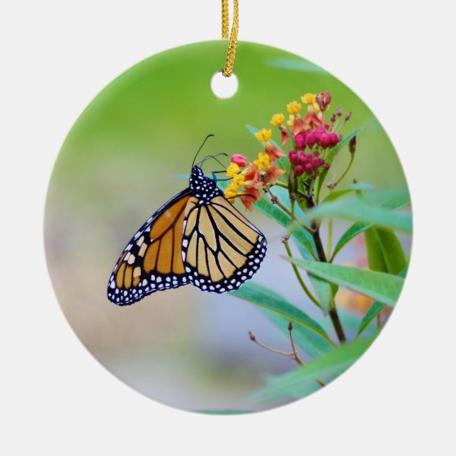 Monarch Butterfly Christmas Ornament (Front)