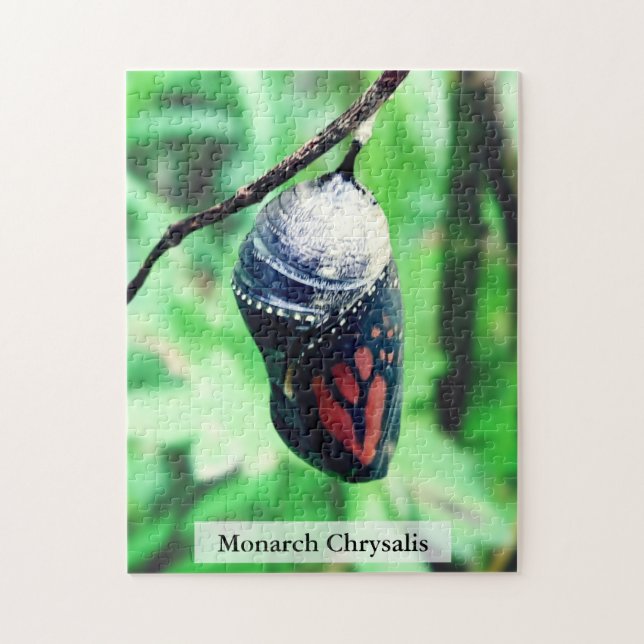 Monarch Butterfly Chrysalis Before Hatching 252Pcs Jigsaw Puzzle (Vertical)
