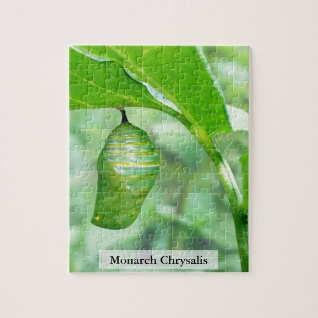 Monarch Butterfly Chrysalis Hardening Stage 110Pcs Jigsaw Puzzle (Vertical)