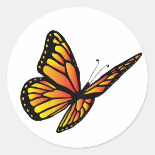 Monarch butterfly classic round sticker