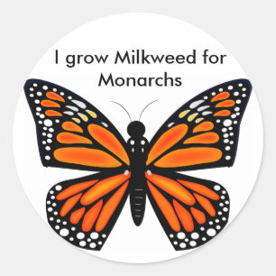 Monarch Butterfly Classic Round Sticker