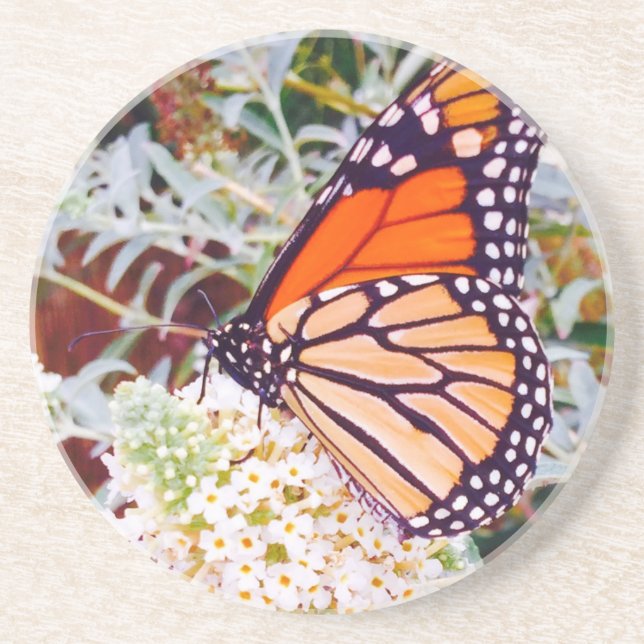 Monarch Butterfly Coaster (Front)