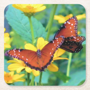 Monarch Butterfly - Coaster